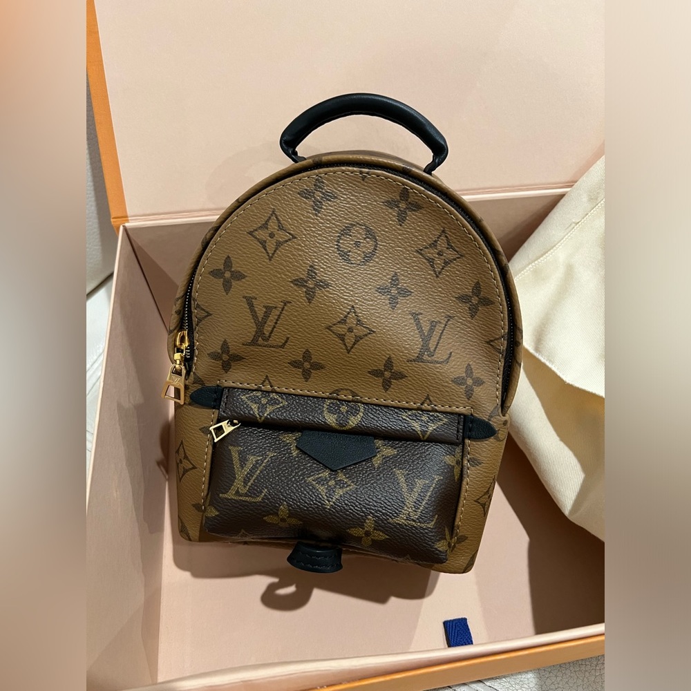 Louis Vuitton Palm Springs Mini